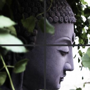 0-drs-buddha-1_264195316_std 0-drs-buddha-1_264195316_std